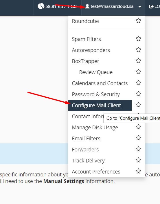 Get the email configuration from webmail